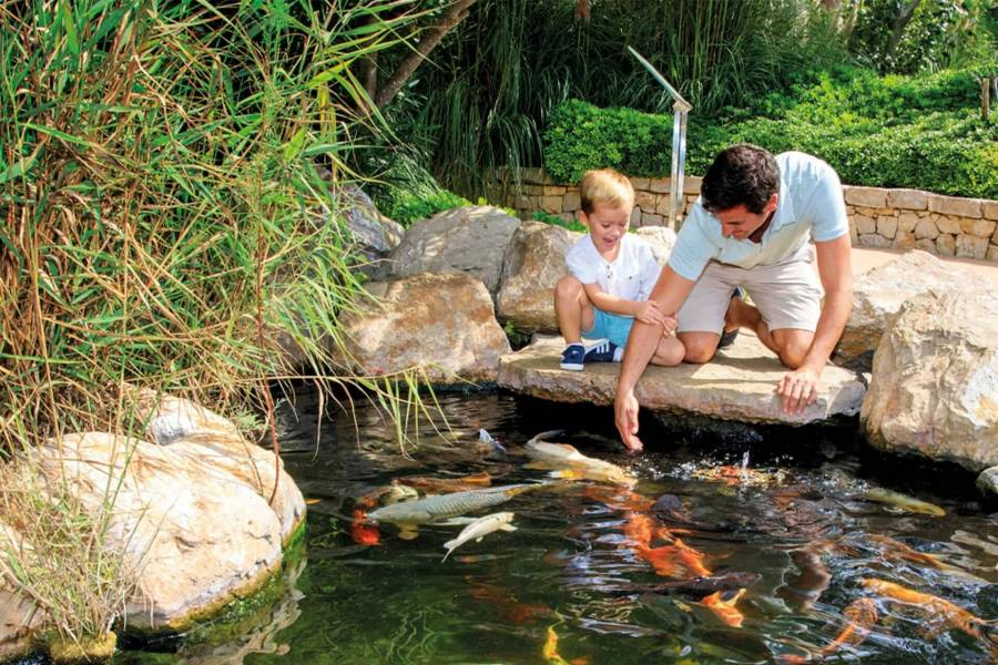 Acuarium Palma